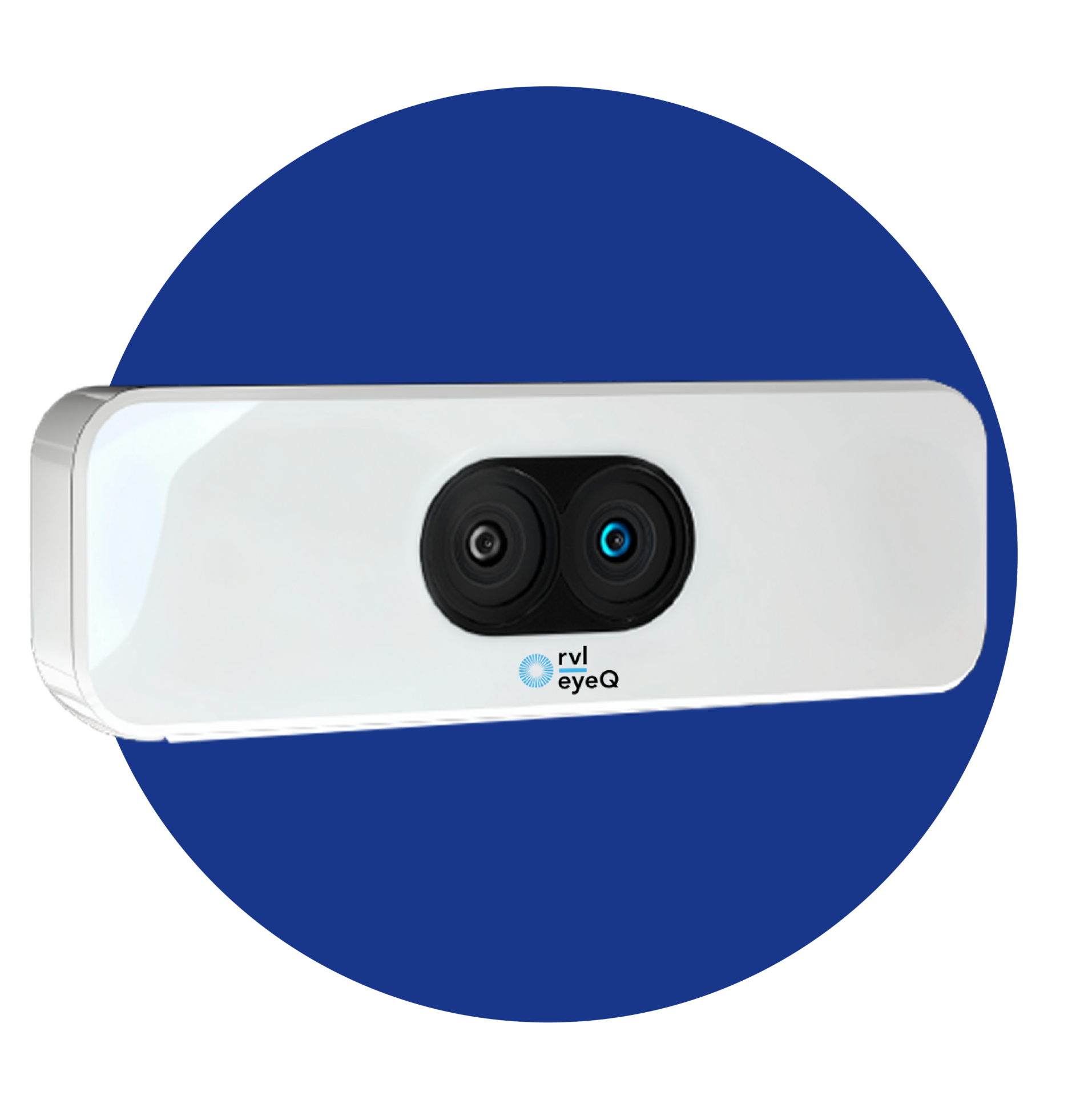REM Vision Lab – Insight at Every Count